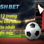 Top 12 trang cá cược thể thao, cá độ bóng đá uy tín nhất Việt Nam 2022